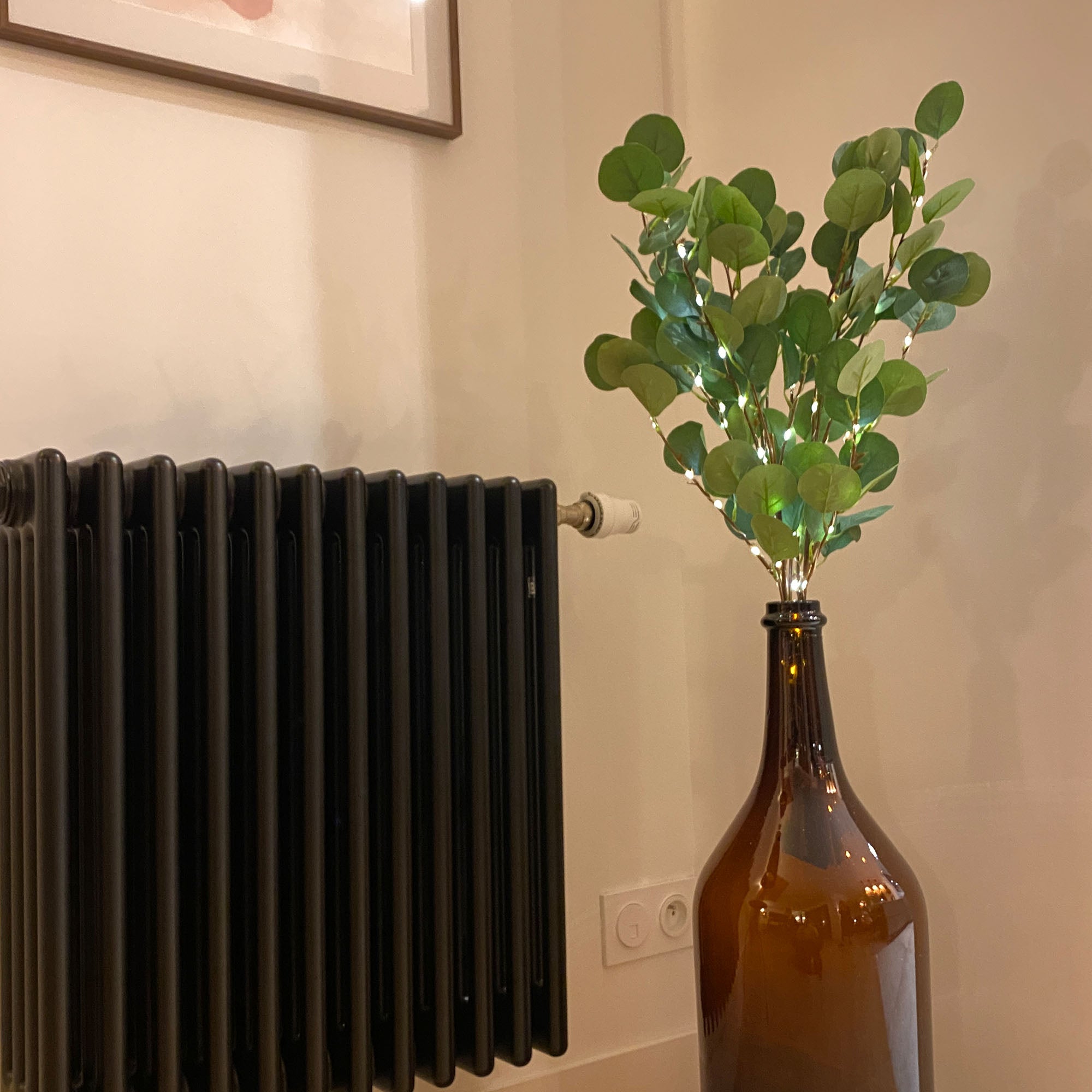 Branche d'eucalyptus